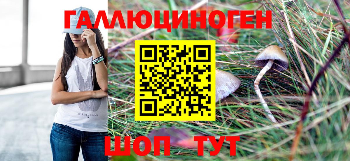 Псилоцибиновые грибы MAGIC MUSHROOMS  Вход с VPN  Минеральные Воды  магазин продажи наркотиков  Псилоцибиновые грибы GOLDEN TEACHER 